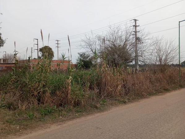 Lote en San Carlos