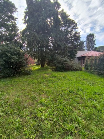 Lote en Pinares del Pato
