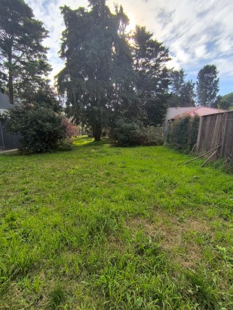 Lote en Pinares del Pato
