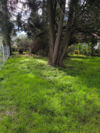 Lote en Pinares del Pato