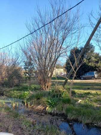 Lote en Arturo Segui