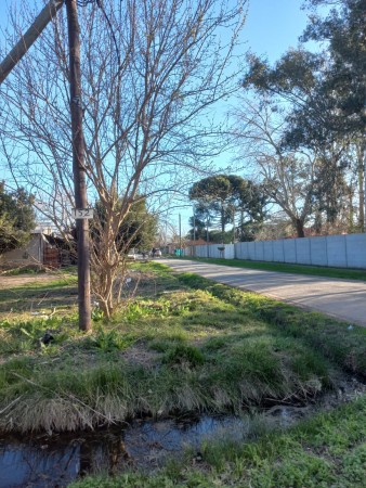 Lote en Arturo Segui